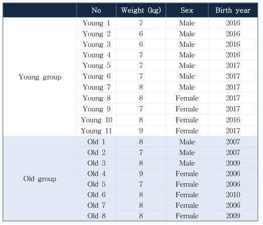중형견에서의 연령에 따른 개체 정보