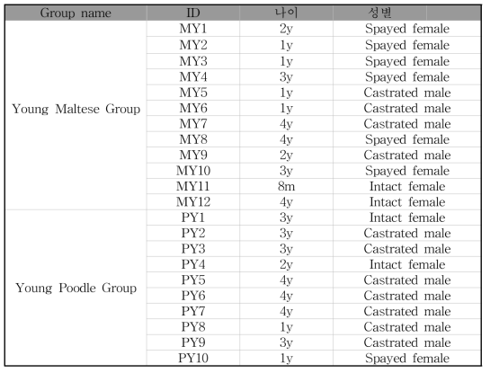 연구에 참여한 어린 연령의 말티즈와 푸들 개체 정보