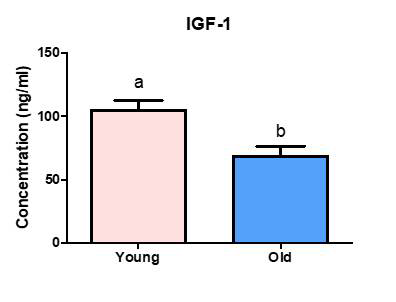 ELISA 분석을 통한 대형견에서의 연령에 따른 IGF-1 농도 비교 분석 결과. 그룹간에 유의적인 차이가 나는 경우, a,b 로 표기하였음 (p < 0.05)