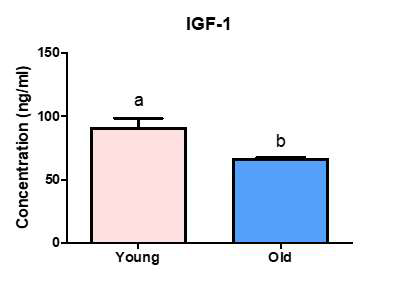 ELISA 분석을 통한 중형견에서의 연령에 따른 IGF-1 농도 비교 분석 결과. 그룹간에 유의적인 차이가 나는 경우, a,b 로 표기하였음 (p < 0.05)