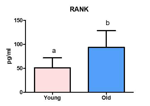 ELISA 분석을 통한 중형견에서의 연령에 따른 RANK 농도 비교 분석 결과. 그룹간에 유의적인 차이가 나는 경우, a,b 로 표기하였음 (p < 0.05)