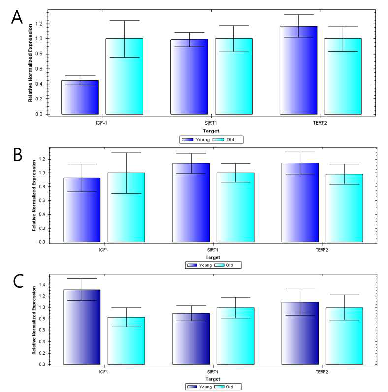 Quantitative real-time PCR analyses of young (deep blue box) and older dogs (light blue box). A, Each target gene expression analyses in young and older small dogs. B, Each target gene expression analyses in young and older medium dogs. C, Each target gene expression analyses in young and older large dogs