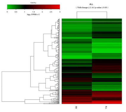 Heatmap for the expression values in log10 (FPKM) units of the selected DEGs between young and older groups in medium dogs