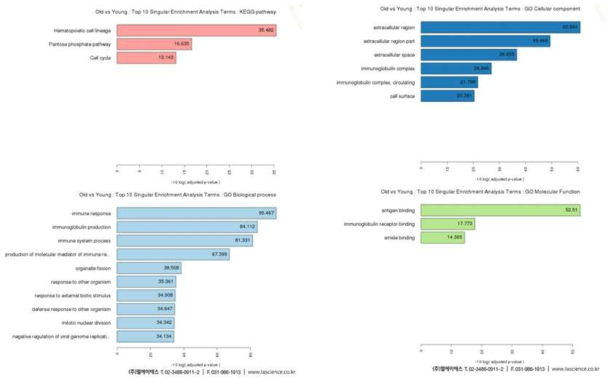 Bar chart for the singular enrichment analyses of GO biological process, GO cellular component, KEGG pathway and GO molecular function from the 302 DEGs of (｜ fold-Change｜≥2)∩(P-value≤0.05) in medium dogs