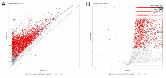 Gene expression profiles in large dogs. Scatter plots (A) and volcano plots (B) of gene expression profiles in young and older groups. Red dots represent differentially expressed genes (P-value ≤ 0.05 and |Fold-Change| ≥ 2)