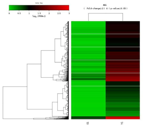 Heatmap for the expression values in log10 (FPKM) units of the selected DEGs between young and older groups in large dogs