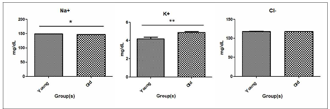 Young 그룹과 Old 그룹 간 전해질 수치의 항목별 비교 분석 결과