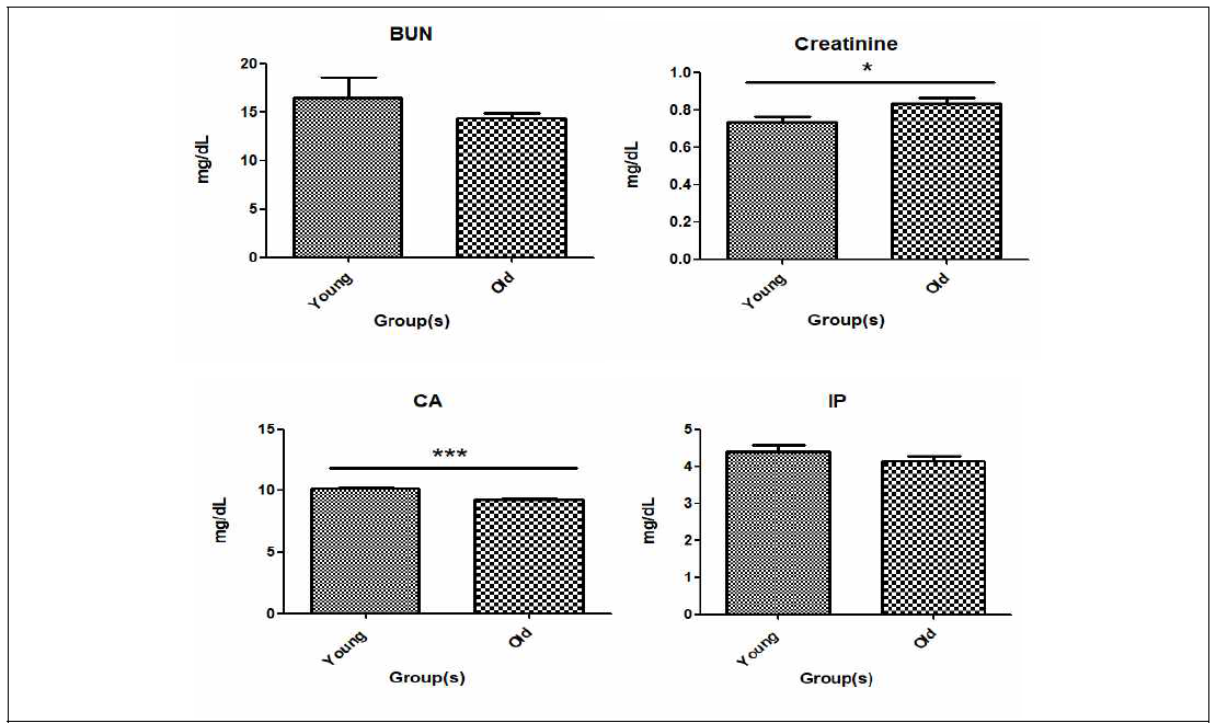 Young 그룹과 Old 그룹 간 혈청학적 신장 관련 수치의 항목별 비교 분석 결과