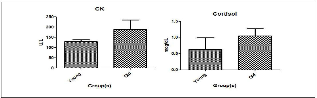 Young 그룹과 Old 그룹 간 Creatine Kinase 및 Cortisol 농도의 비교 분석 결과