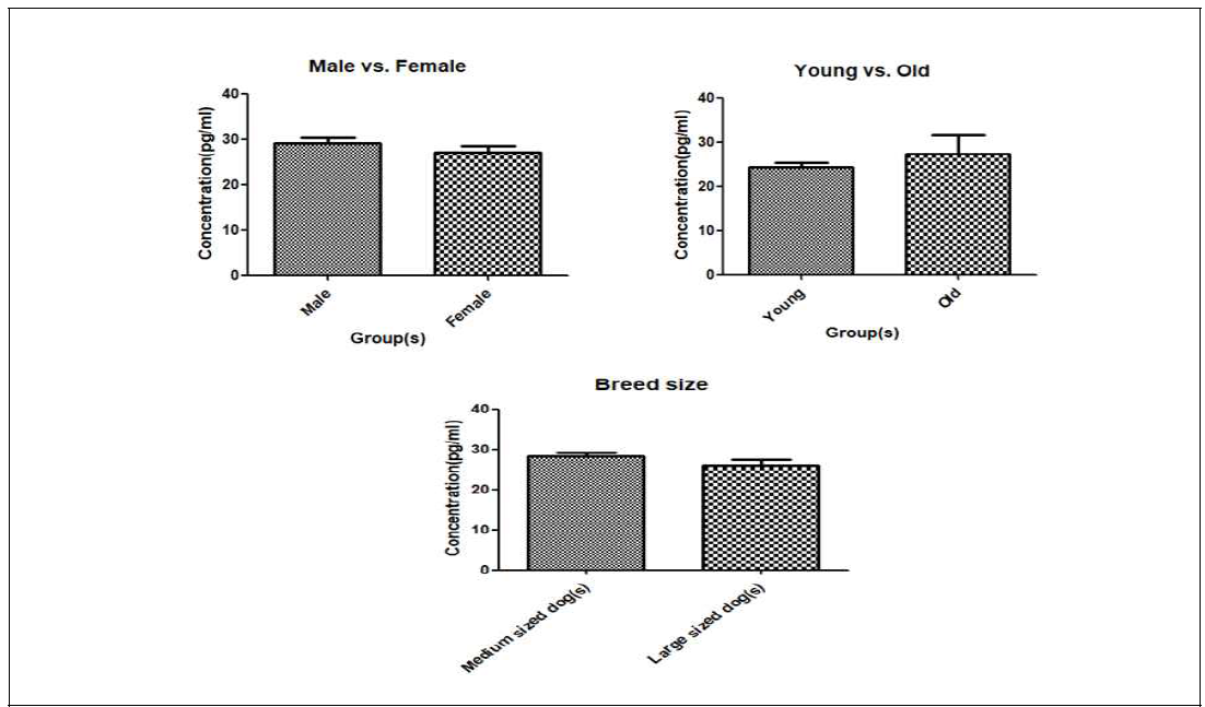 성별, 연령, 품종에 따른 혈청 IL-6 농도 비교 분석 결과