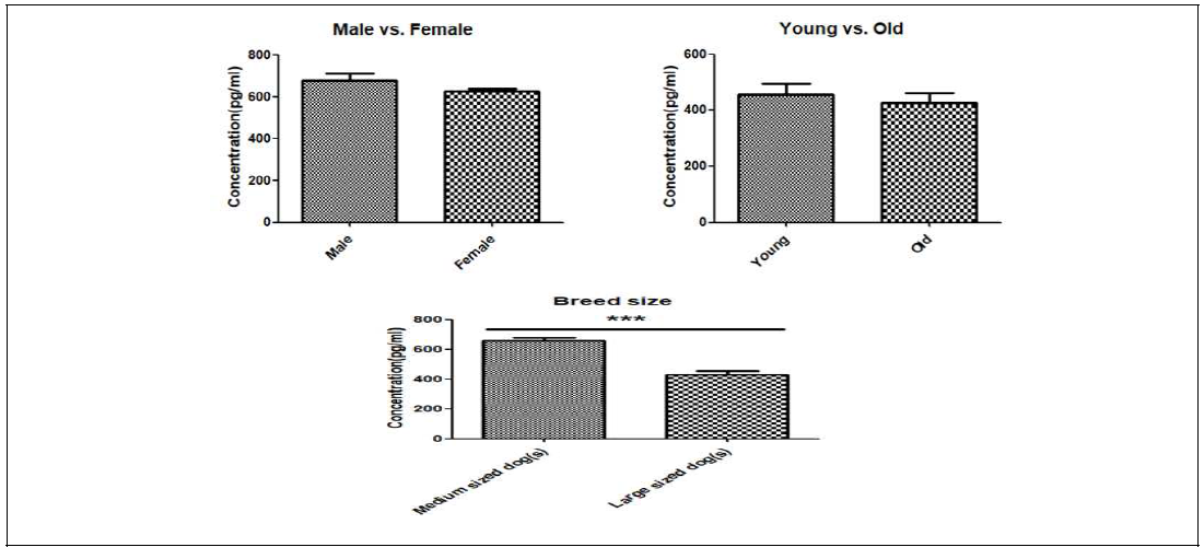성별, 연령, 품종에 따른 혈청 MIF 농도 비교 분석 결과