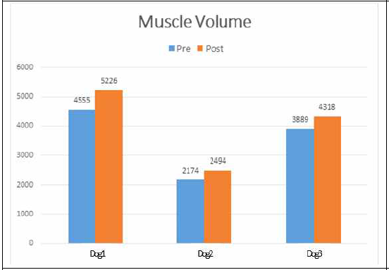 개선 기법적용 전-후 근육량 비교