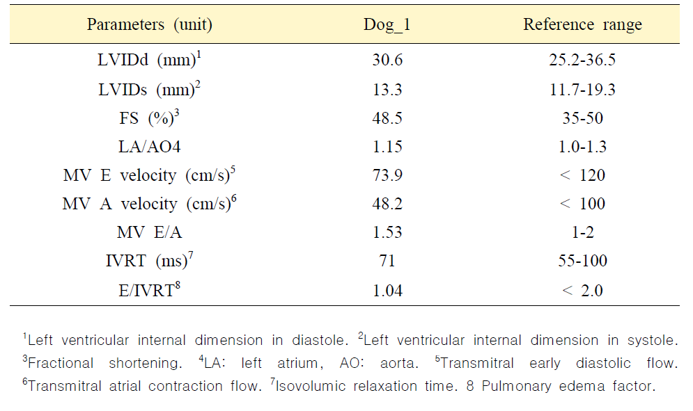 Dog_1의 심장 초음파 결과