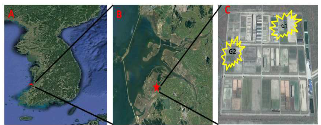 시험수행 장소 : 새만금간척지 (A,B), 시험포장 위치(C)