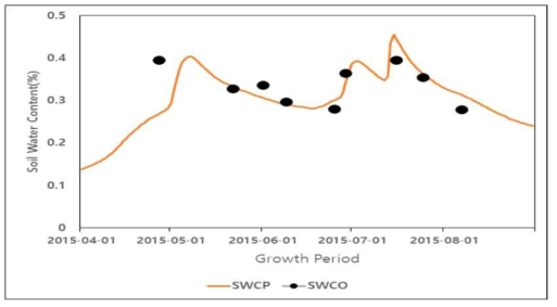 심토에서 실측 토양수분함량(SWCO)과 예측수분함량(SWCP)간 비교