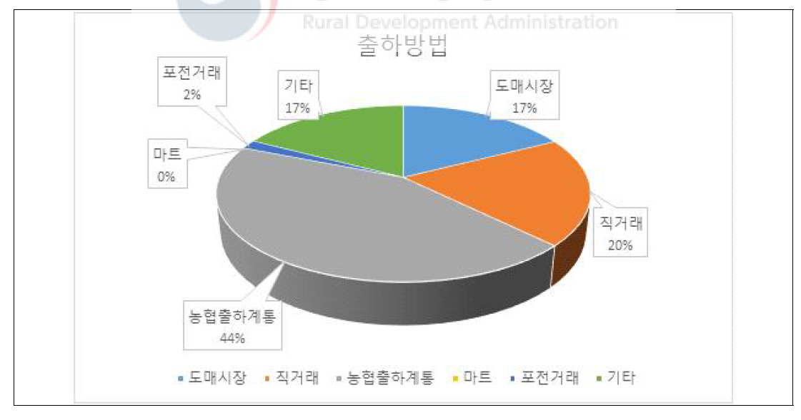 감자 재배농가 출하방법