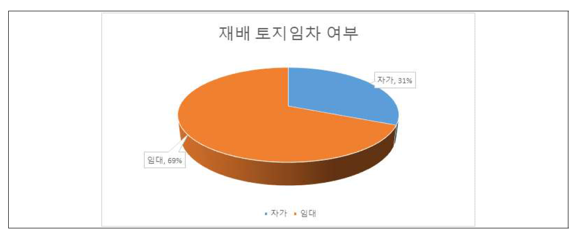 벼 재배 토지 임차 여부