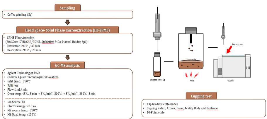 커피 휘발성분 분석을 위한 HS-SPME 방법과 GC-MS 분석 조건