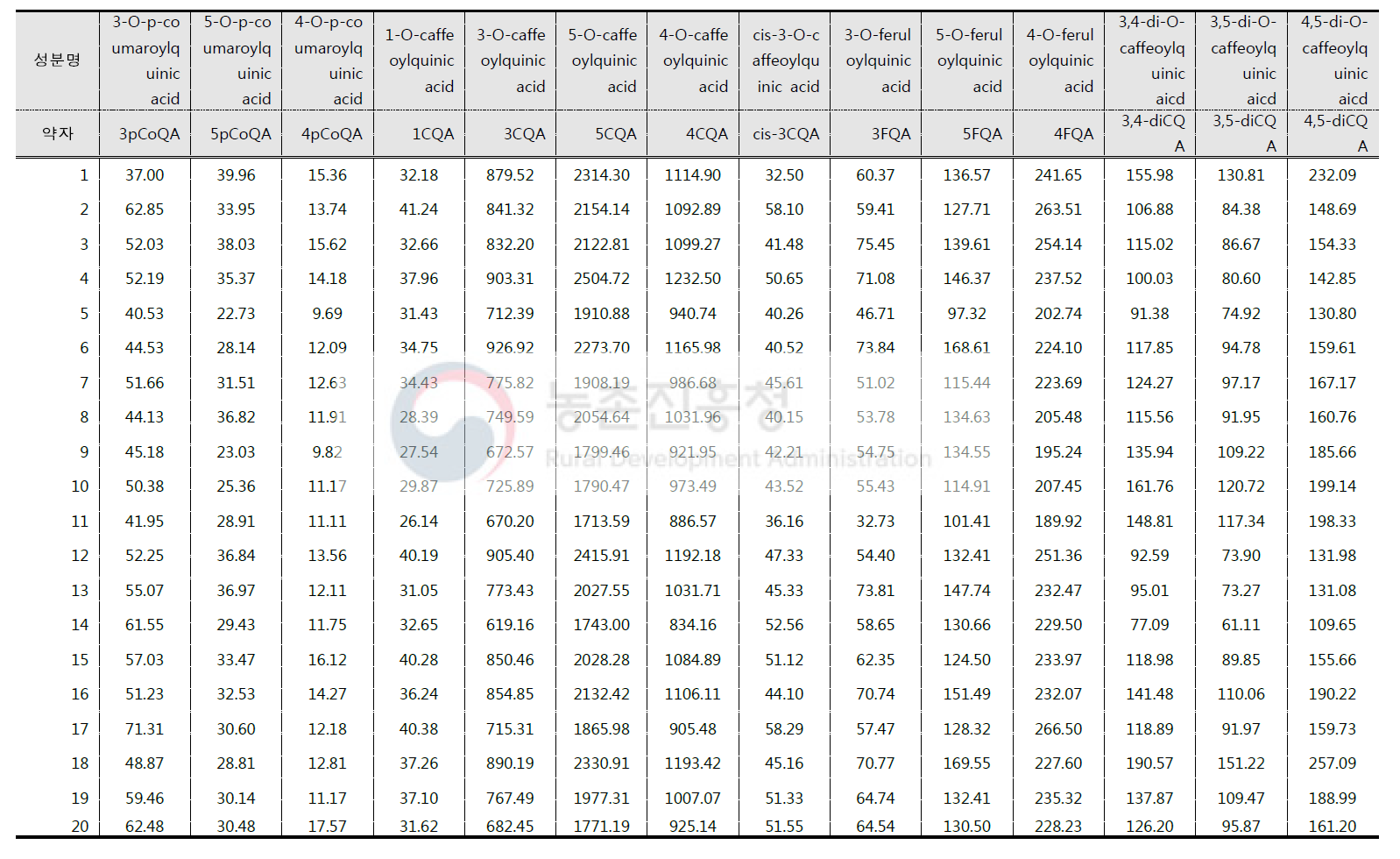 커피 시료의 페놀산 함량 (단위 mg/100g)