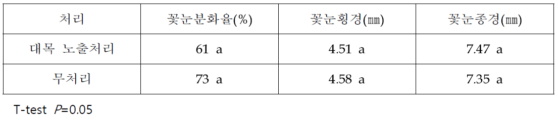 대목노출 처리후 이듬해 홍로 사과의 꽃눈분화율(2019)