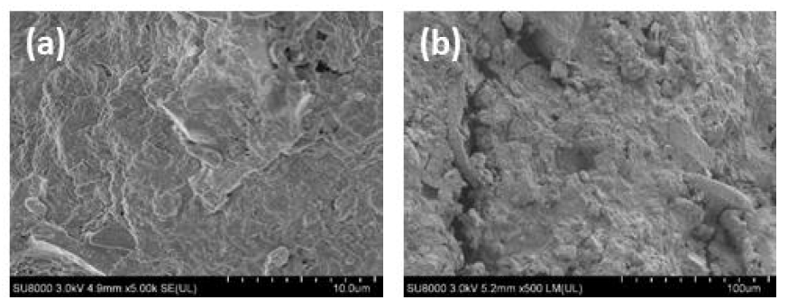 SEM images of Supplemented rice hull black carbon pellet (a) and Supplemented activated palm biochar pellet (b)