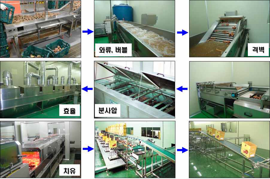 고구마 최적 세척공정