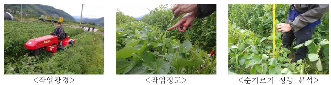 3륜형 승용관리기용 순지르기 작업기 농가 포장적응 시험