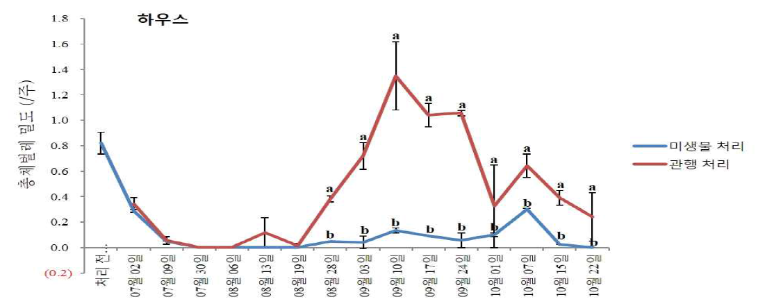 미생물제 처리에 따른 무농약 고추(하우스)의 총체벌레 방제효과