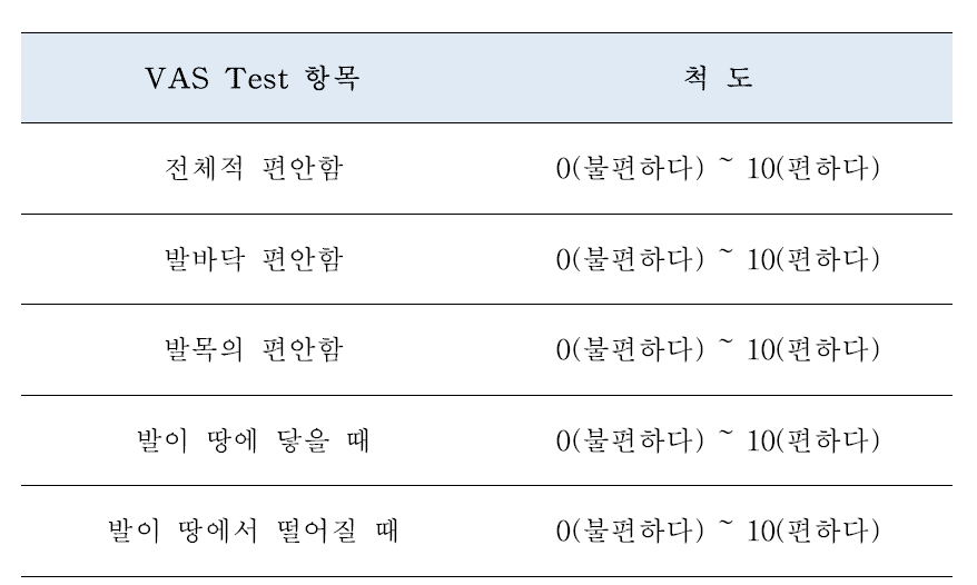 VAS test 평가 항목 및 척도