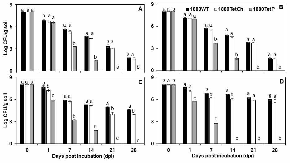 Growth of Pseudomonas parafulva PpaJBCS1880 wild type and its mutants. The cells of wild type (1880WT) and mutants (1880TetCh and 1880TetP) were inoculated into bulk soil and incubated at (A) 0°C (B) 5°C (C) 10°C (D) 20°C. The population was assayed every week for 28 days Data show mean with standard deviation. Bars with same letter do not differ significantly at P=0.05