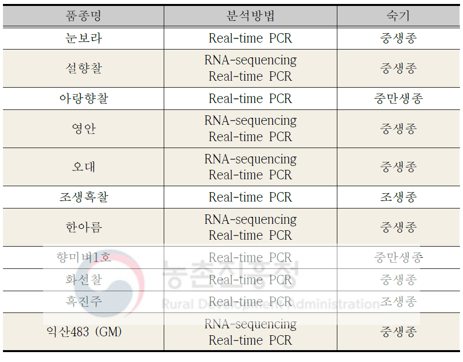 실험에 사용된 11종의 벼 작물