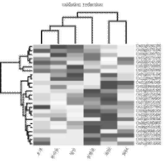 Gene ontology 분석으로 얻어진 “Oxidation reduction” 기능에 연관된 유전자