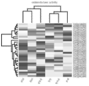 Gene ontology 분석으로 얻어진 “Oxidoreductase activity” 기능에 연관된 유전자