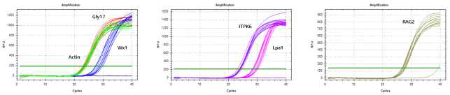 Quantification data (Stage 1)