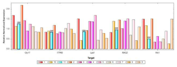 Expression patterns (Stage 1)