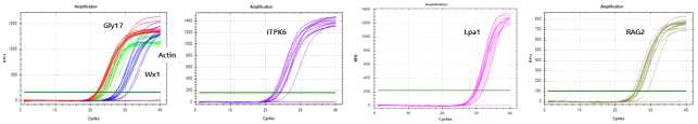 Quantification data (Stage 2)