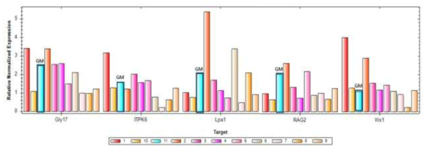 Expression patterns (Stage 2)