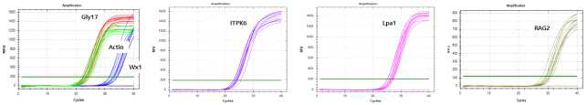 Quantification data (Stage 3)