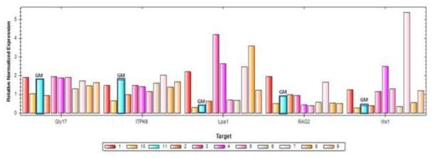 Expression patterns (Stage 3)