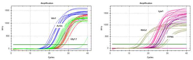 Quantification data (Stage 4)