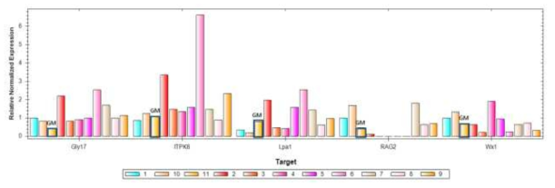 Expression patterns (Stage 4)