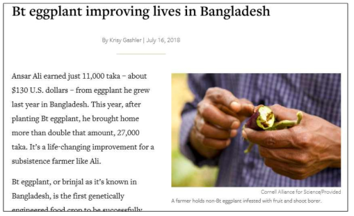 Bt 가지 재배에 의한 방글라데시의 삶의 질 향상 (http://news.cornell.edu/stories/2018/07/bt-eggplant-improving-lives-bangladesh)