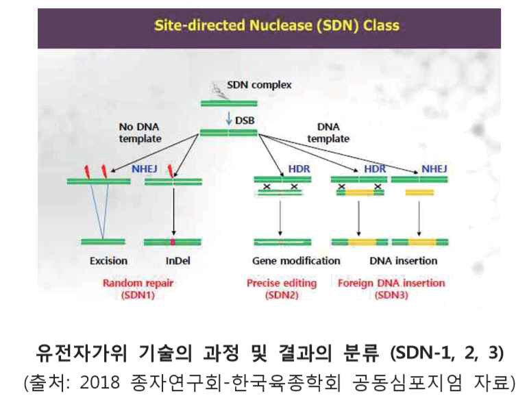 유전자가위 기술의 과정 및 분류(SDN-1은 규제 대상에서 제외될 가능성이 높음, 미국, 일본, 호주 등은 규제대상에서 제외하였음) * SDN-1: 1-2개의 염기가 빠지거나 들어가게 되어 만들어진 변이 * SDN-2: 1-2개의 아미노산이 새롭게 치환된 변이 * SDN-3: 원하는 위치에 외래 유전자가 삽입된 변이