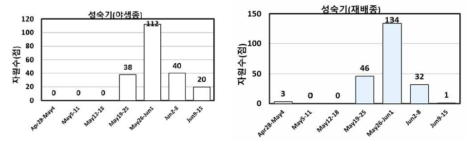 증식자원의 성숙기 분포