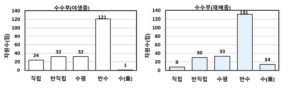 증식자원의 수수부 분포