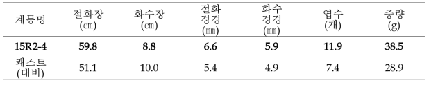계통 ‘15R2-4’의 품질특성 (‘19.9, 진천)