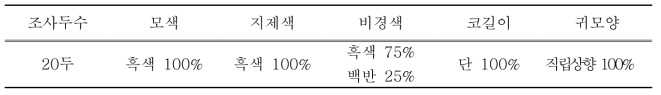 재래돼지 외모특성 조사 결과