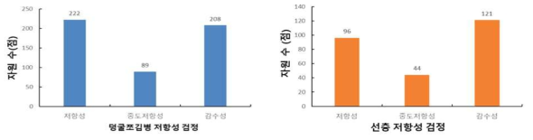 고구마 병 저항성 검정