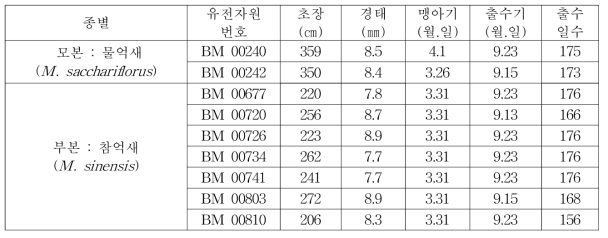 억새 교배자원의 생육특성