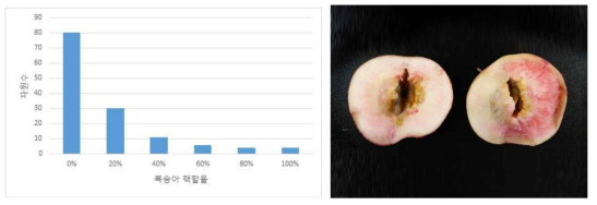 복숭아 유전자원의 핵할율에 따른 자원 빈도수와 핵할 증상